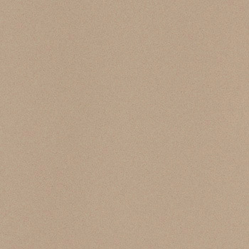 ICON BEIGE 60L.jpg